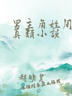 男主角姓周的修真类小说