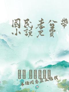 国民老公带回家小说免费