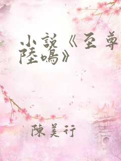 小说《至尊神殿陆鸣》