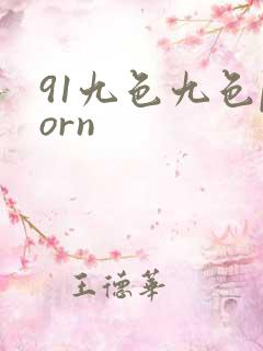 91九色九色porn