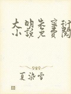 大明朱宁衍穿越小说免费阅读