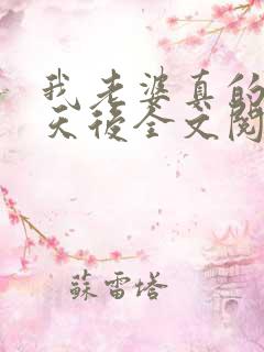 我老婆真的不是天后全文阅读全文