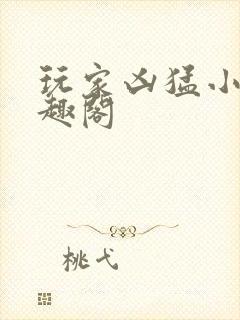 玩家凶猛小说笔趣阁