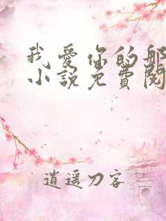 我爱你的那十年小说免费阅读