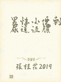 男性小便刺痛,尿道流脓