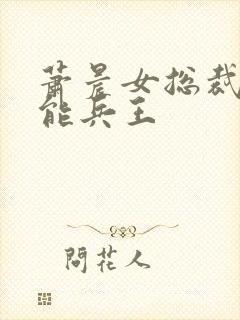 萧晨女总裁的全能兵王