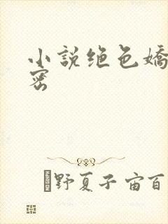 小说绝色娇妻秘密