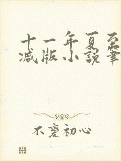 十一年夏至未删减版小说笔趣阁