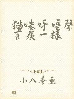 猫咪呼噜声音像有痰一样