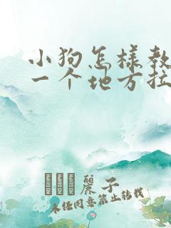 小狗怎样教它去一个地方拉尿