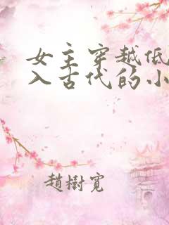 女主穿越低调融入古代的小说