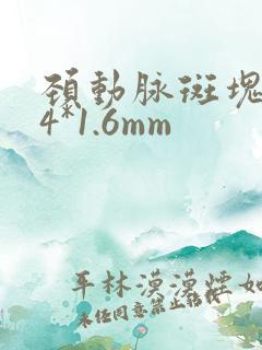 颈动脉斑块7.4*1.6mm