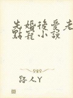 先婚后爱老公轻点宠小说
