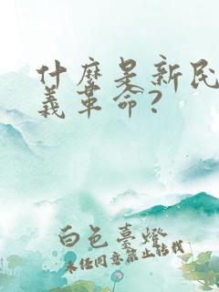 什么是新民主主义革命?