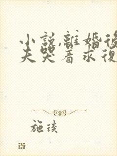 小说,离婚后前夫哭着求复婚