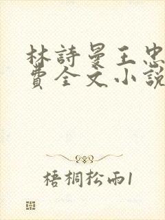 林诗曼王忠文免费全文小说的名称