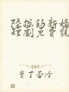 陆总的新婚哑妻短剧免费观看完整版