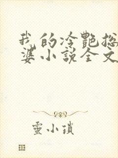 我的冷艳总裁老婆小说全文免费阅读