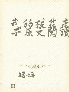 我的校花老婆叶子原文阅读小说