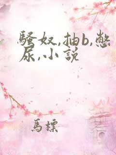 骚奴,抽b,憋尿,小说