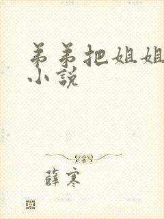 弟弟把姐姐操了小说