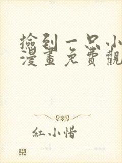 捡到一只小狐狸漫画免费观看下拉式六漫画