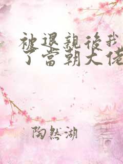 被退亲后我嫁给了当朝大佬 txt