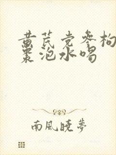 黄芪党参枸杞红枣泡水喝