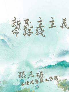 新民主主义的革命路线