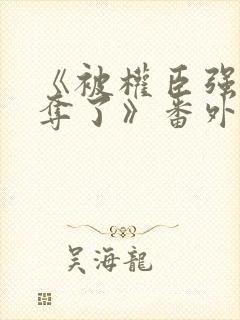 《被权臣强取豪夺了》番外