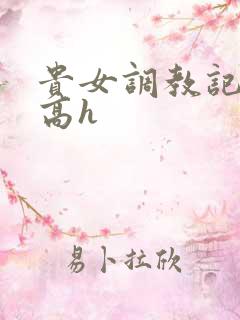 贵女调教记np高h