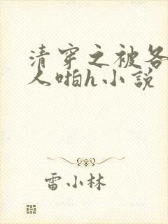 清穿之被各种男人啪h小说