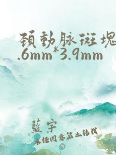 颈动脉斑块19.6mm*3.9mm