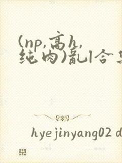 (np,高h,纯肉)乱l合集
