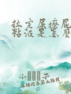 拉完屎擦屁股有粘液是怎么回事