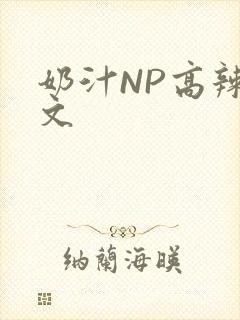 奶汁NP高辣H文
