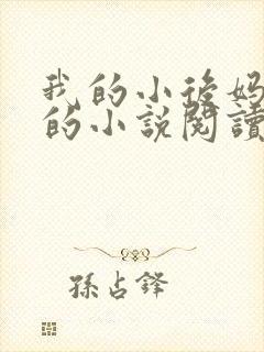 我的小后妈免费的小说阅读