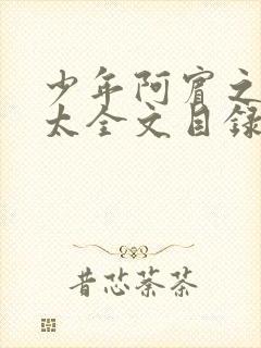 少年阿宾之房东太全文目录