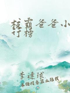 校霸爸爸小说排行榜