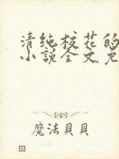 清纯校花的轶事小说全文免费阅读