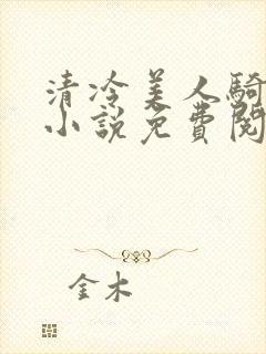 清冷美人骑木马小说免费阅读