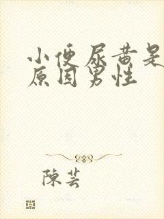 小便尿黄是什么原因男性