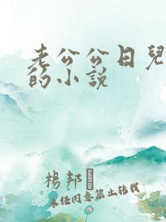 老公公日儿媳妇的小说