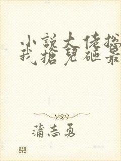 小说大佬总想跟我抢儿砸最新章节