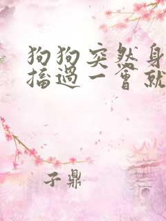 狗狗突然身体抽搐过一会就没事了