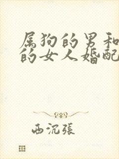 属狗的男和属鼠的女人婚配好不好