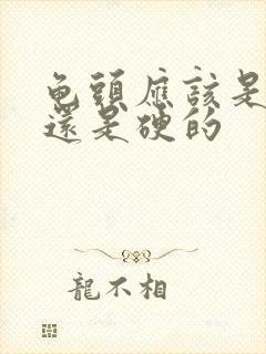 龟头应该是软的还是硬的