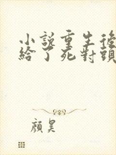 小说重生后我嫁给了死对头完整版