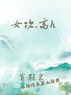 女攻,高h