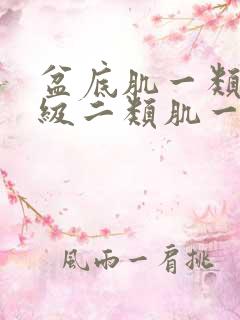 盆底肌一类肌一级二类肌一级严重吗